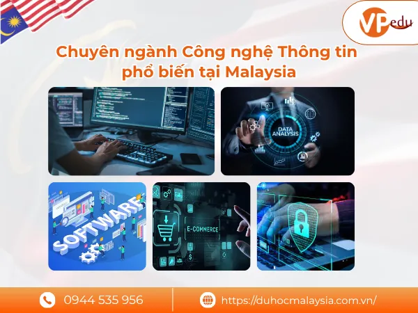 Các chuyên ngành Công nghệ Thông tin phổ biến tại Malaysia