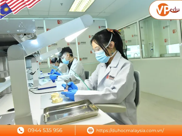 Chương trình đào tạo tại đại học MSU Malaysia