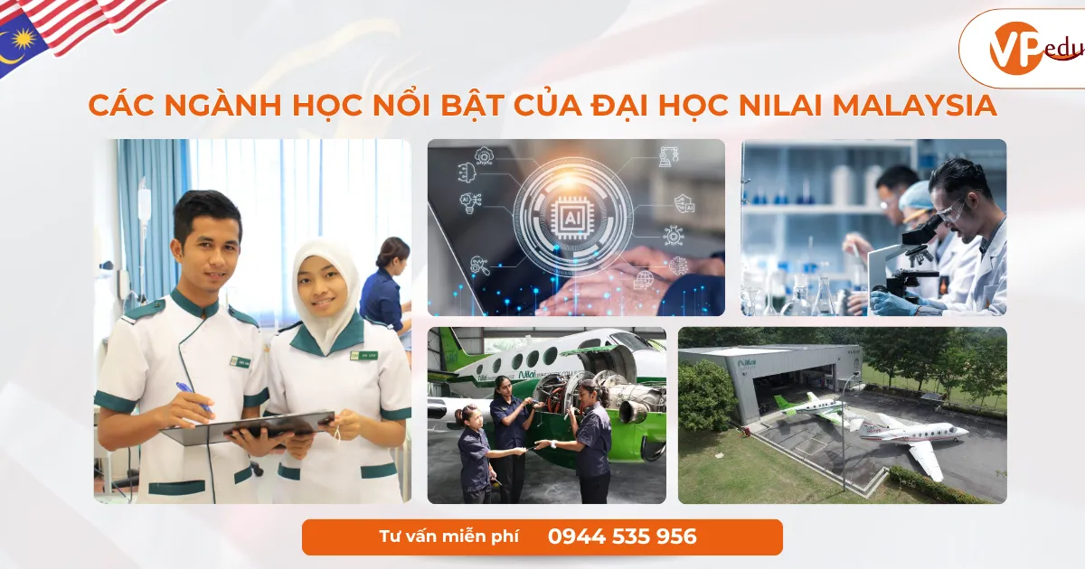 Các ngành học nổi bật của Đại học Nilai Malaysia