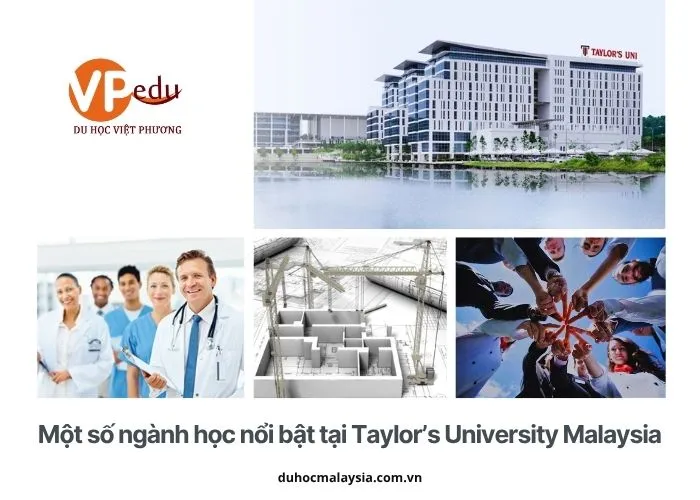 Một số ngành học nổi bật tại Taylor’s University Malaysia