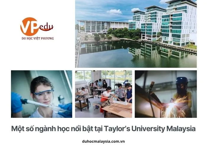 Du học tại Taylor’s University Malaysia