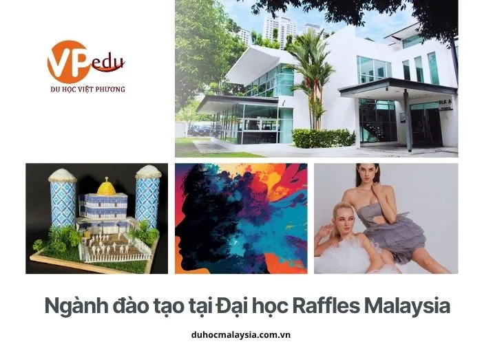 Một số ngành đào tạo tại Đại học Raffles Malaysia