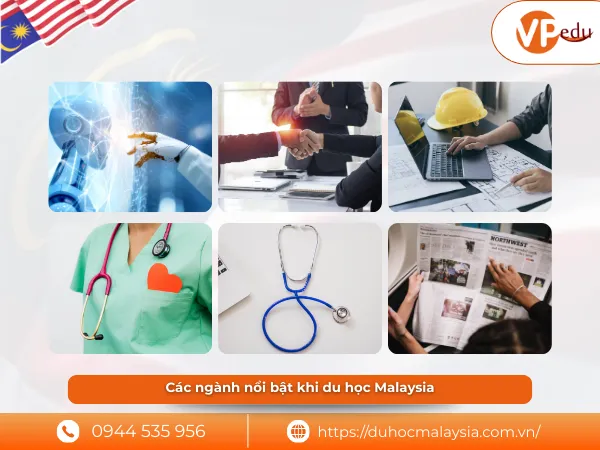 các ngành học hot khi du học Malaysia