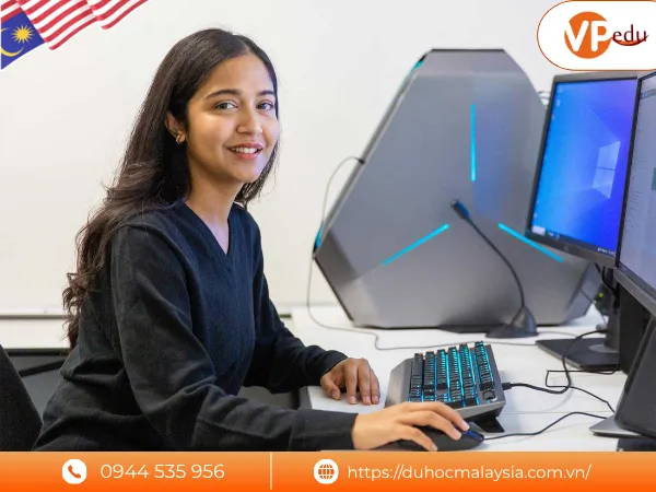 Nên chọn du học IT tổng quát hay chuyên ngành khi du học Malaysia