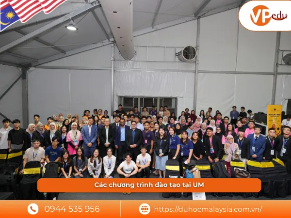 Các chương trình đào tạo tại UM