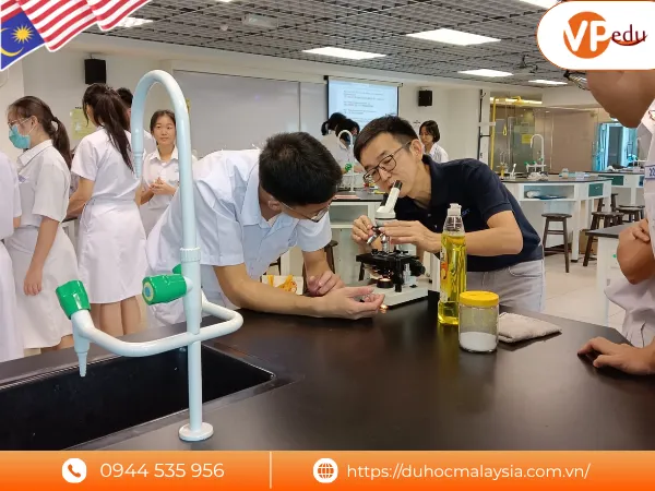 Các chương trình đào tạo của đại học Tunku Abdul Rahman (TAR UMT)