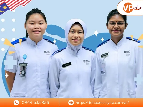 Các lĩnh vực đào tạo chính của đại học UOW Malaysia KDU