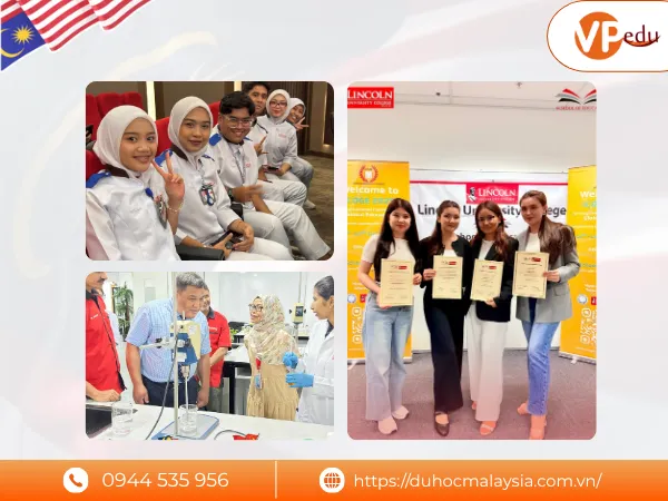 Các ngành đào tạo nổi bật của đại học Lincoln Malaysia