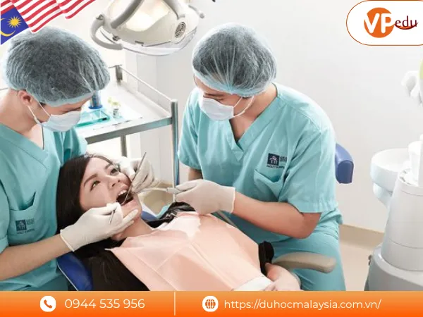 Chương trình đào tạo nha khoa tại Đại học SEGi