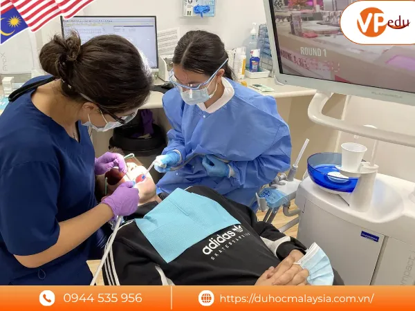cơ hội nghề nghiệp ngành Dental, nha khoa ở Malaysia