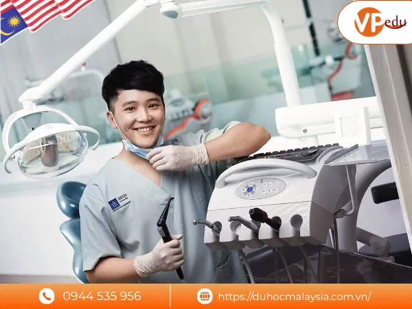 cơ hội thực tập và việc làm khi du học Dental ở đại học SEGi
