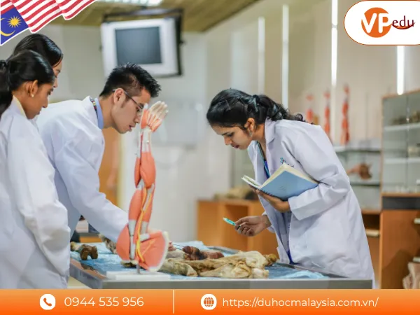 Y khoa (Medicine) là chương trình đào tạo thế mạnh ở đại học AIMST Malaysia