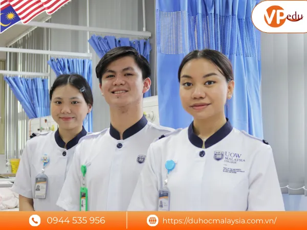 Các chương trình đào tạo tại đại học UOW Malaysia