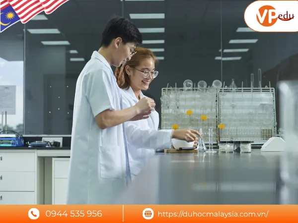 Các ngành học và chương trình đào tạo tại UoC Malaysia