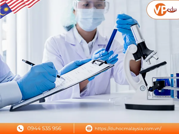 Chương trình Ngành Dược tại đại học Mahsa