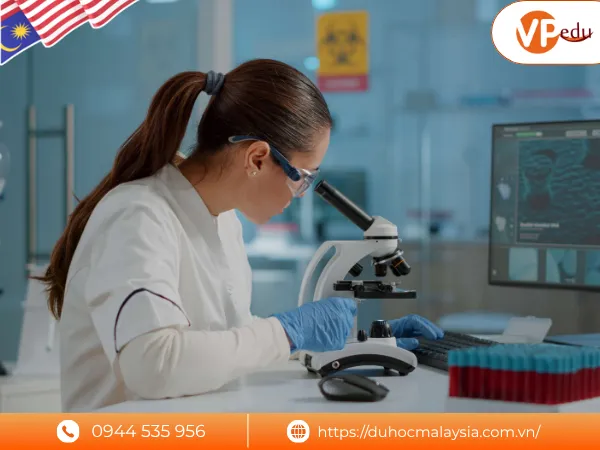 Cơ hội nghề nghiệp sau tốt nghiệp ngành dược ở Malaysia