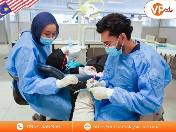 Triển vọng nghề nghiệp ngành nha khoa ở Malaysia