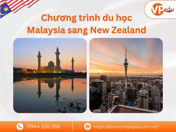 Các chương trình du học Malaysia sang New Zealand phổ biến