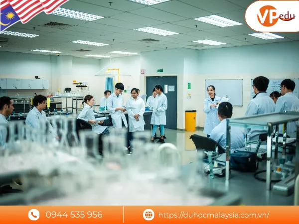 Chương trình đào tạo Đại học Swinburne Malaysia