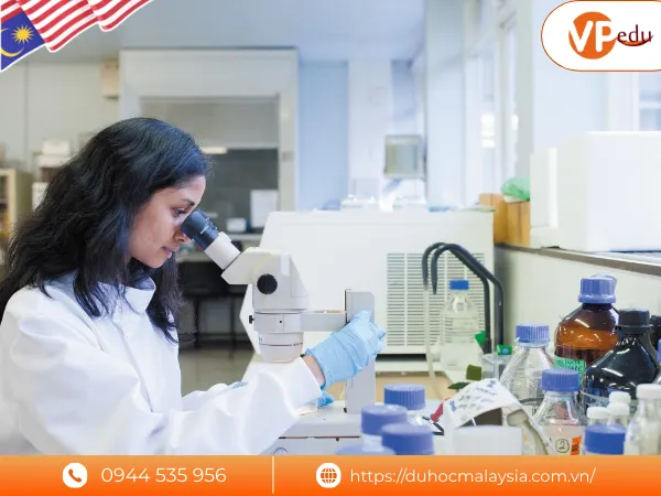 Đại học Nottingham Malaysia cung cấp nhiều chương trình học đa dạng