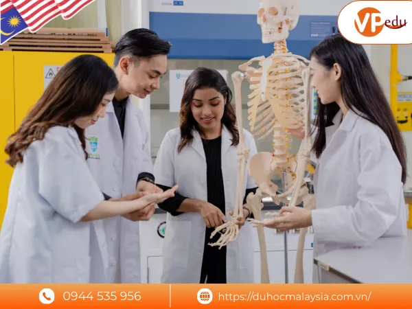 Chương trình đào tạo tại RCSI & UCD Malaysia Campus (RUMC)