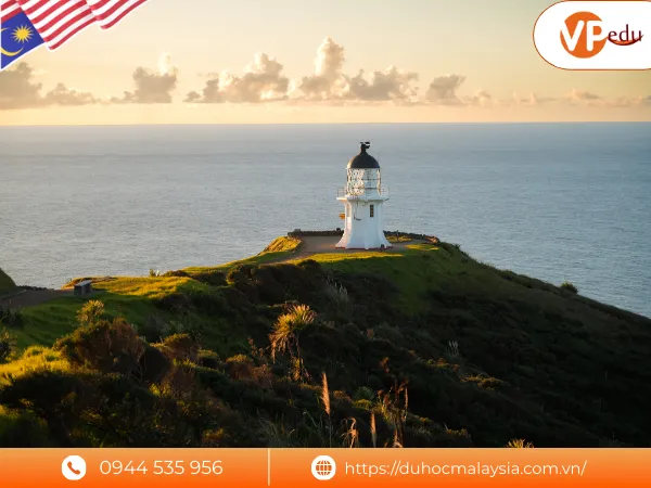 Điều kiện du học Malaysia chương trình chuyển tiếp New Zealand