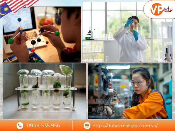 Chương trình đào tạo tại Đại học Mila Malaysia