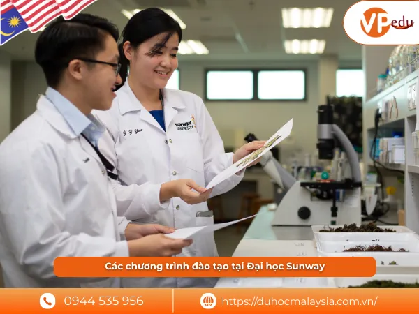 Chương trình đào tạo ở Sunway University Malaysia