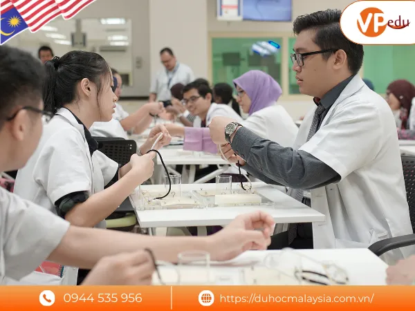 Đại học Quốc gia Malaysia cung cấp nhiều chương trình đào tạo đa ngành