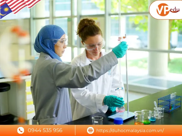 Các chương trình đào tạo của đại học UTP Malaysia