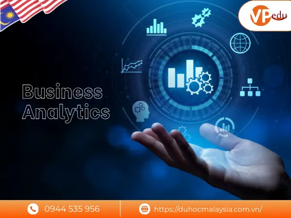 du học ngành Business Analytics mở ra cơ hội toàn cầu