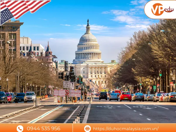 Có những chương trình du học Mỹ nào