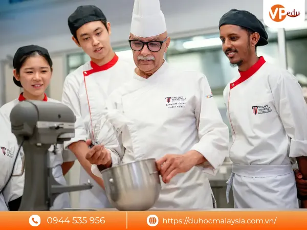Taylor's University - trường đào tạo Hospitality hàng đầu tại Malaysia