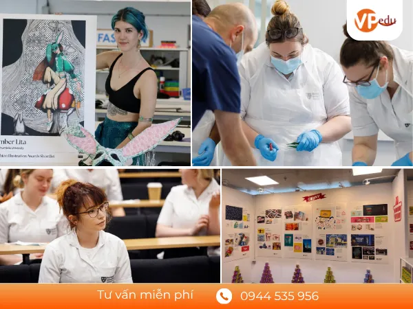 Các ngành học nổi bật tại trường Northumbria University