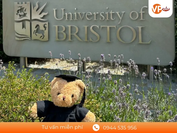 Các trường đối tác của University of Bristol tại Malaysia