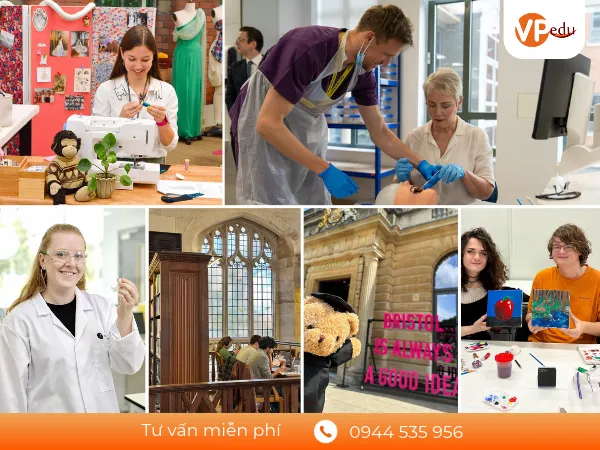Đại học Bristol đào tạo nhiều nhóm ngành ở bậc đại học và sau đại học